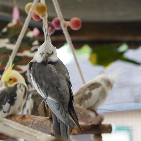 Maerchencamping ستوهر المظهر الخارجي الصورة