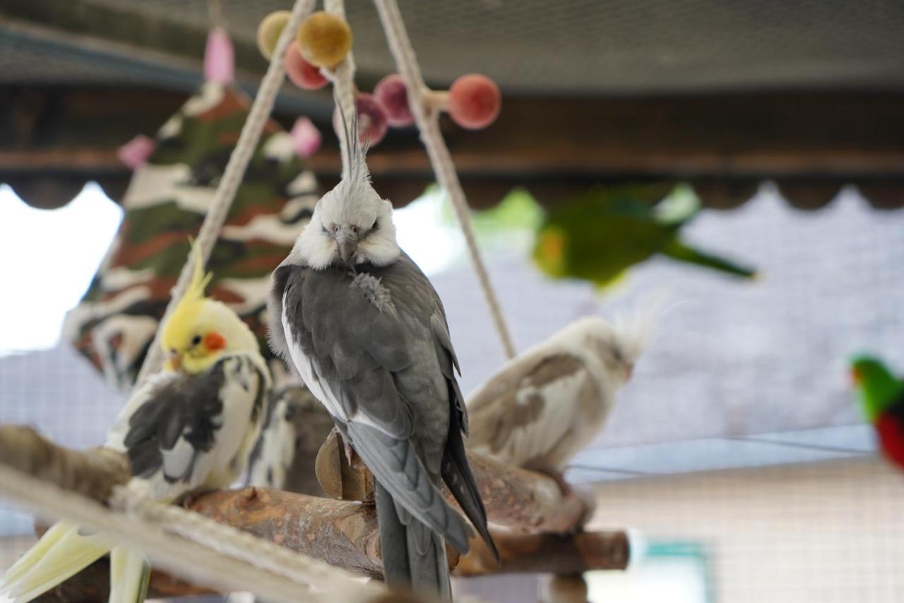 Maerchencamping ستوهر المظهر الخارجي الصورة